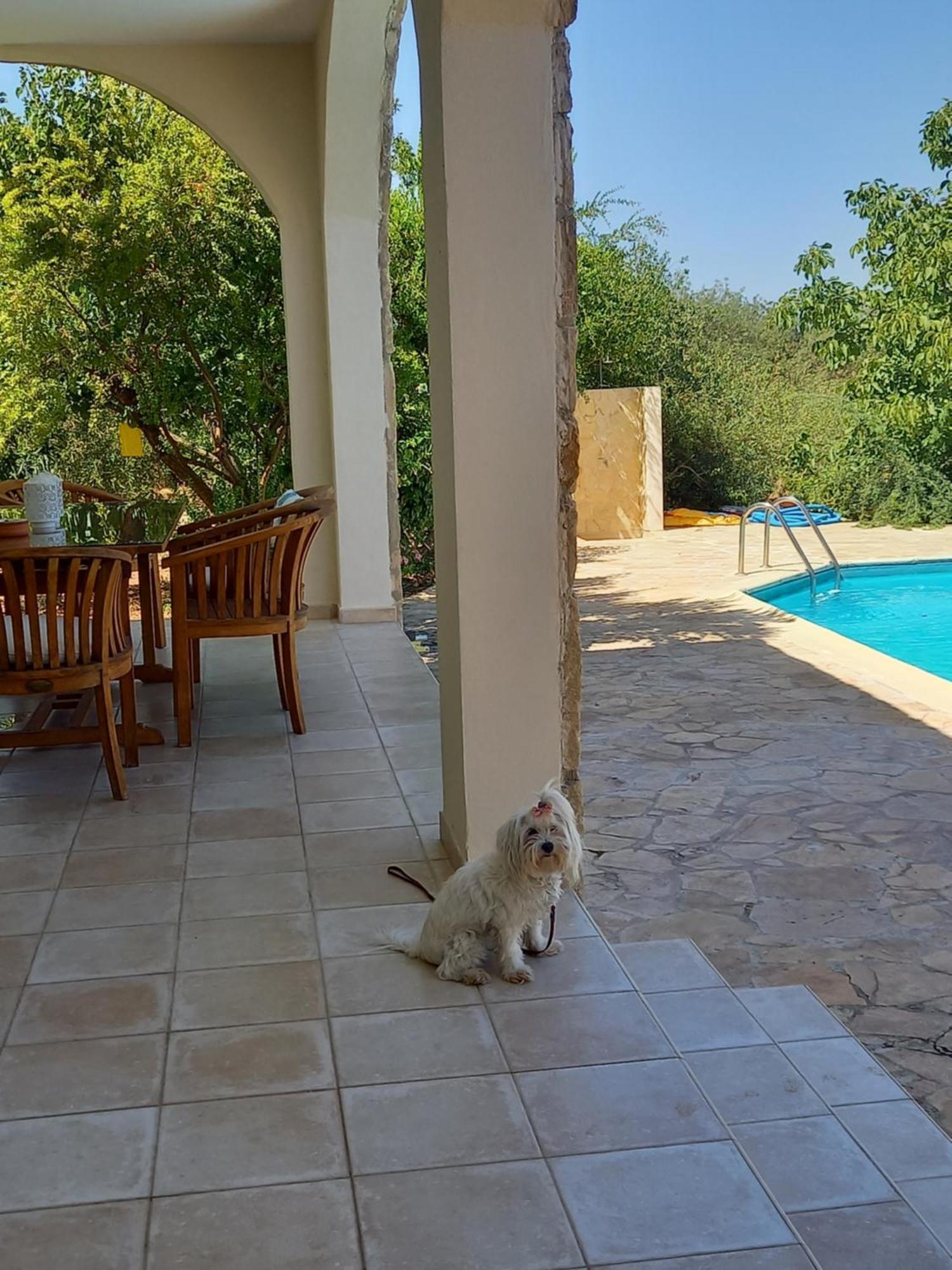 Villa Koumneni Pano Akourdalia エクステリア 写真