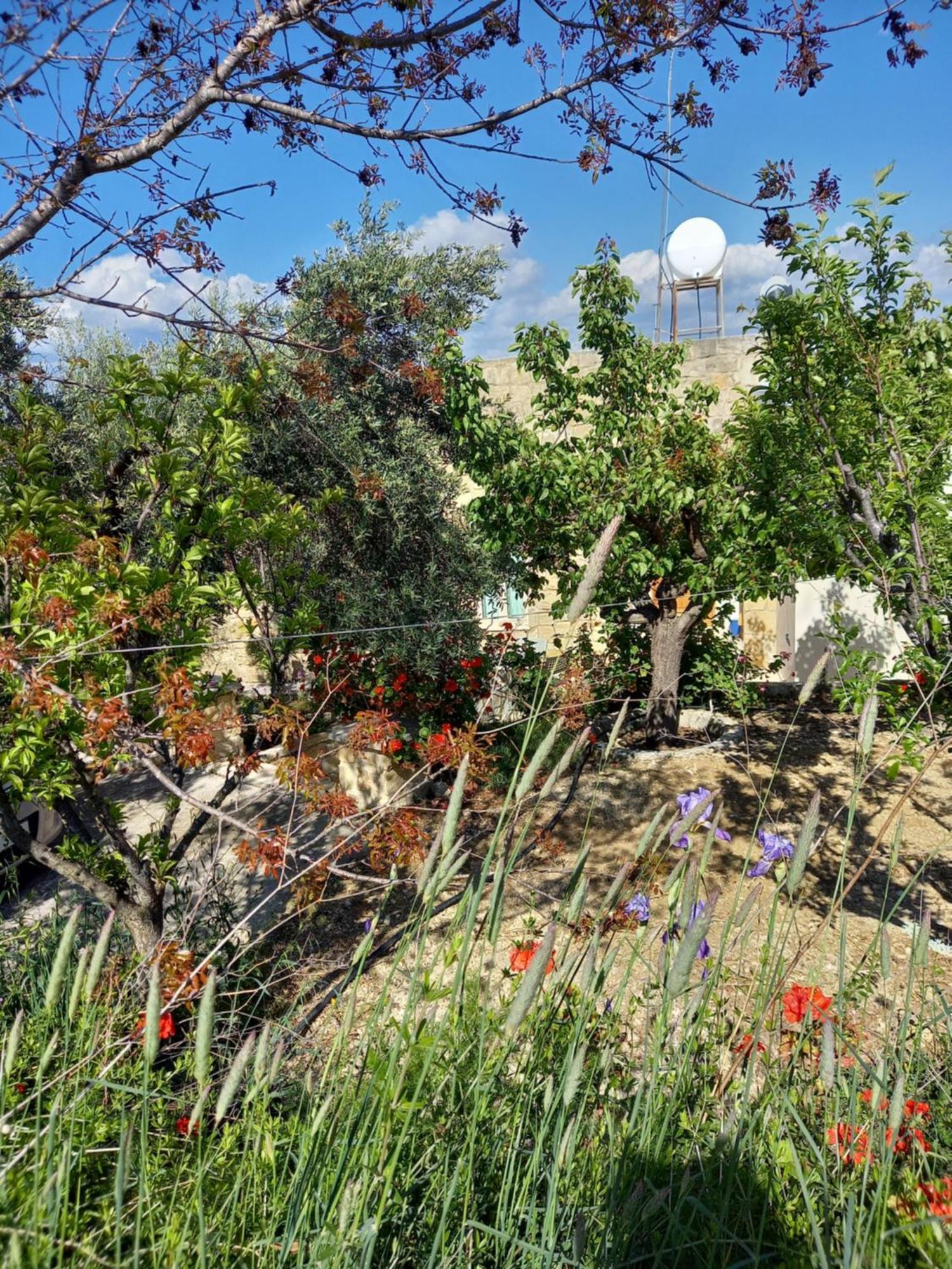 Villa Koumneni Pano Akourdalia エクステリア 写真