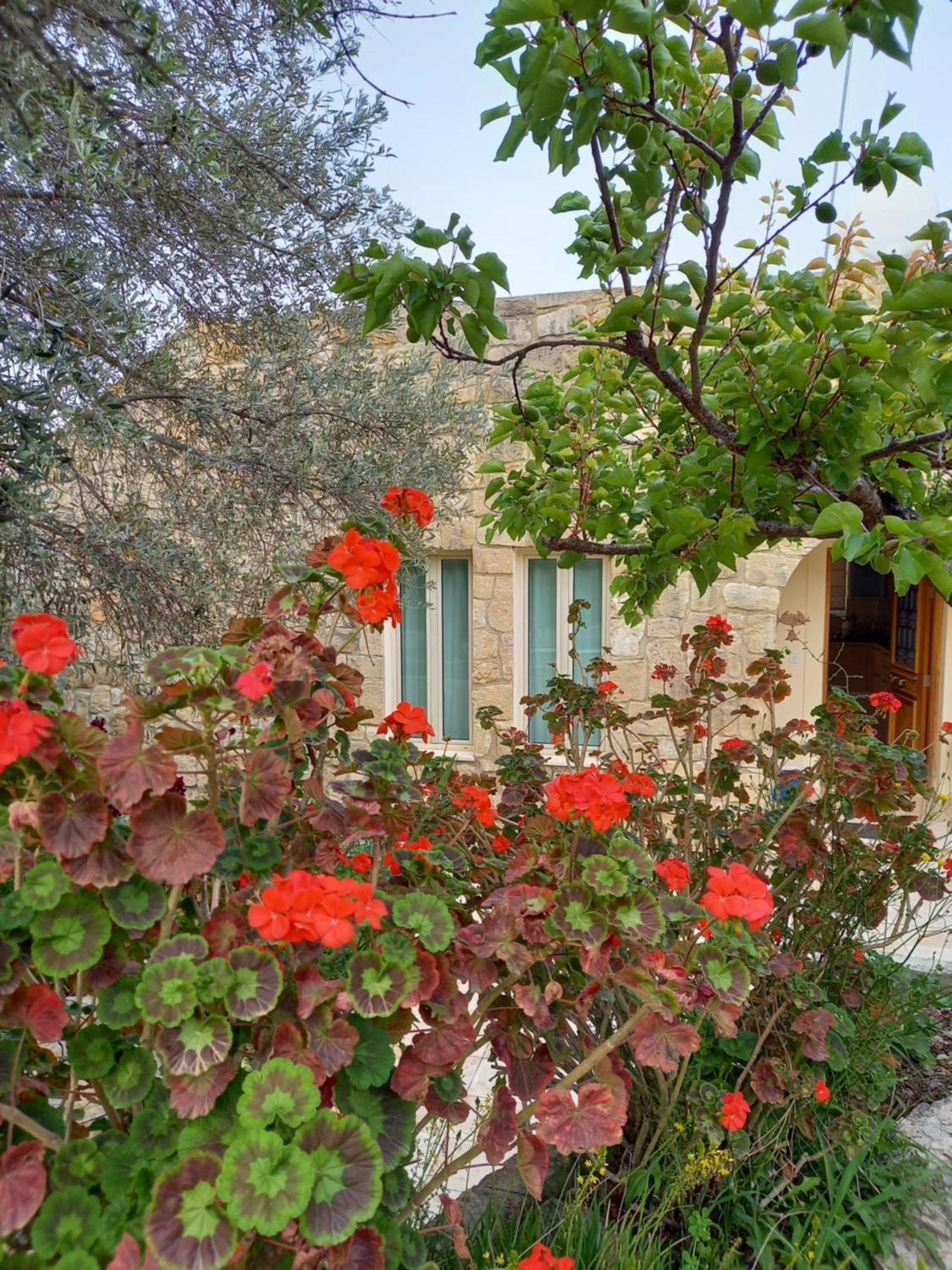 Villa Koumneni Pano Akourdalia エクステリア 写真