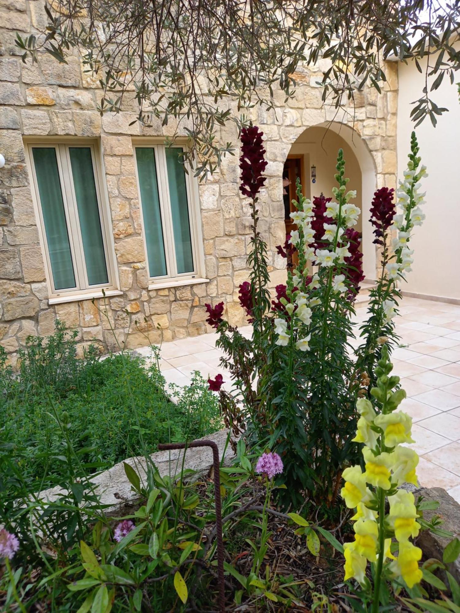 Villa Koumneni Pano Akourdalia エクステリア 写真