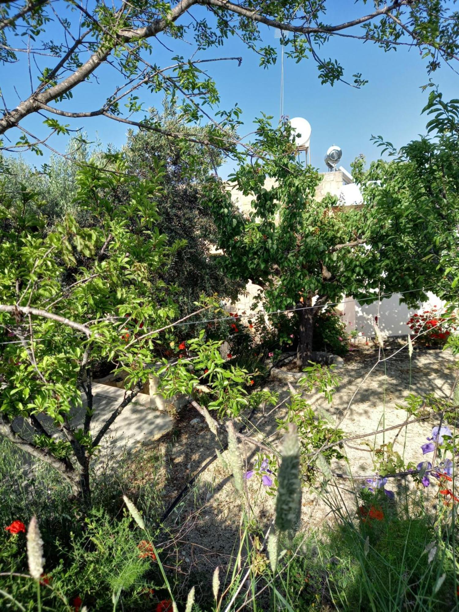 Villa Koumneni Pano Akourdalia エクステリア 写真