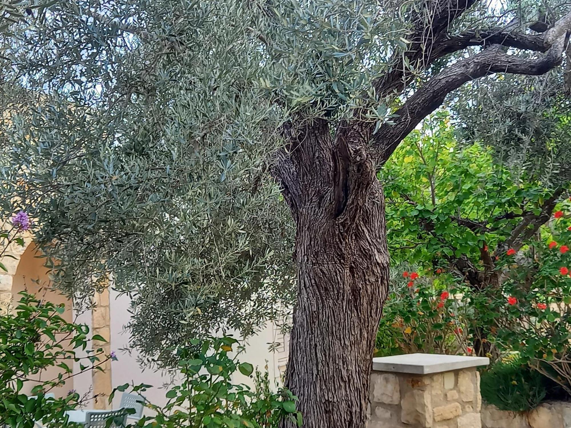 Villa Koumneni Pano Akourdalia エクステリア 写真