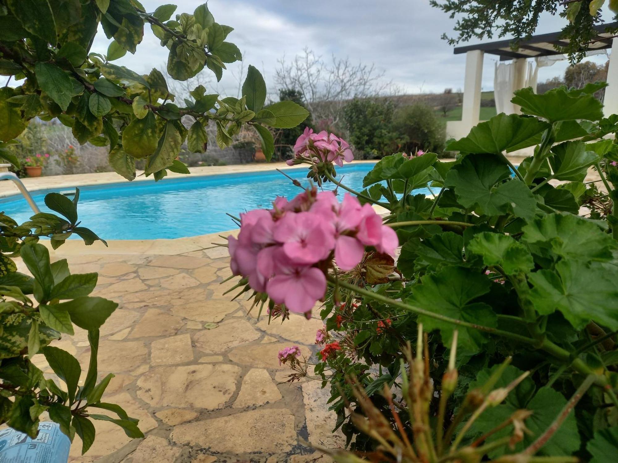 Villa Koumneni Pano Akourdalia エクステリア 写真
